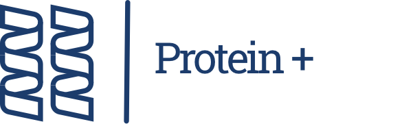 protein